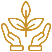 Clean Ingredients